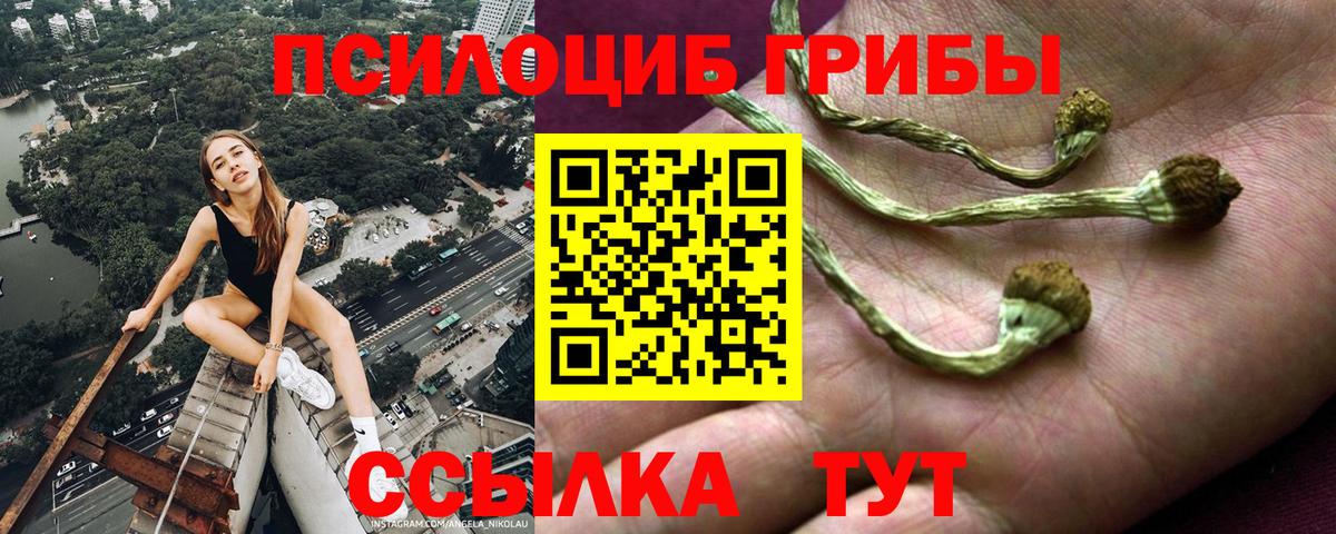 Псилоцибиновые грибы Psilocybine cubensis  Вход с VPN  хочу наркоту  Соликамск 